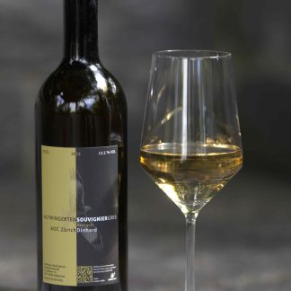 Souvignier gris 2023 "Barrique"